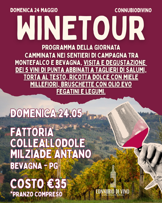 WINE TOUR - 24 MAGGIO - FATTORIA COLLEADOLE MILZIADE ANTANO - BEVAGNA - PG