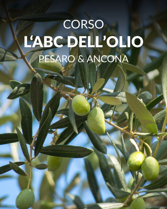 CORSO / L'ABC DELL'OLIO