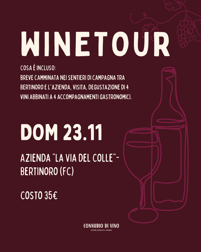 WINE TOUR — 23 Novembre, La Via del Colle, Bertinoro (FC)