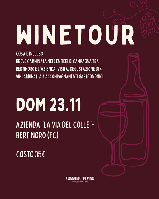 WINE TOUR — 23 Novembre, La Via del Colle, Bertinoro (FC)