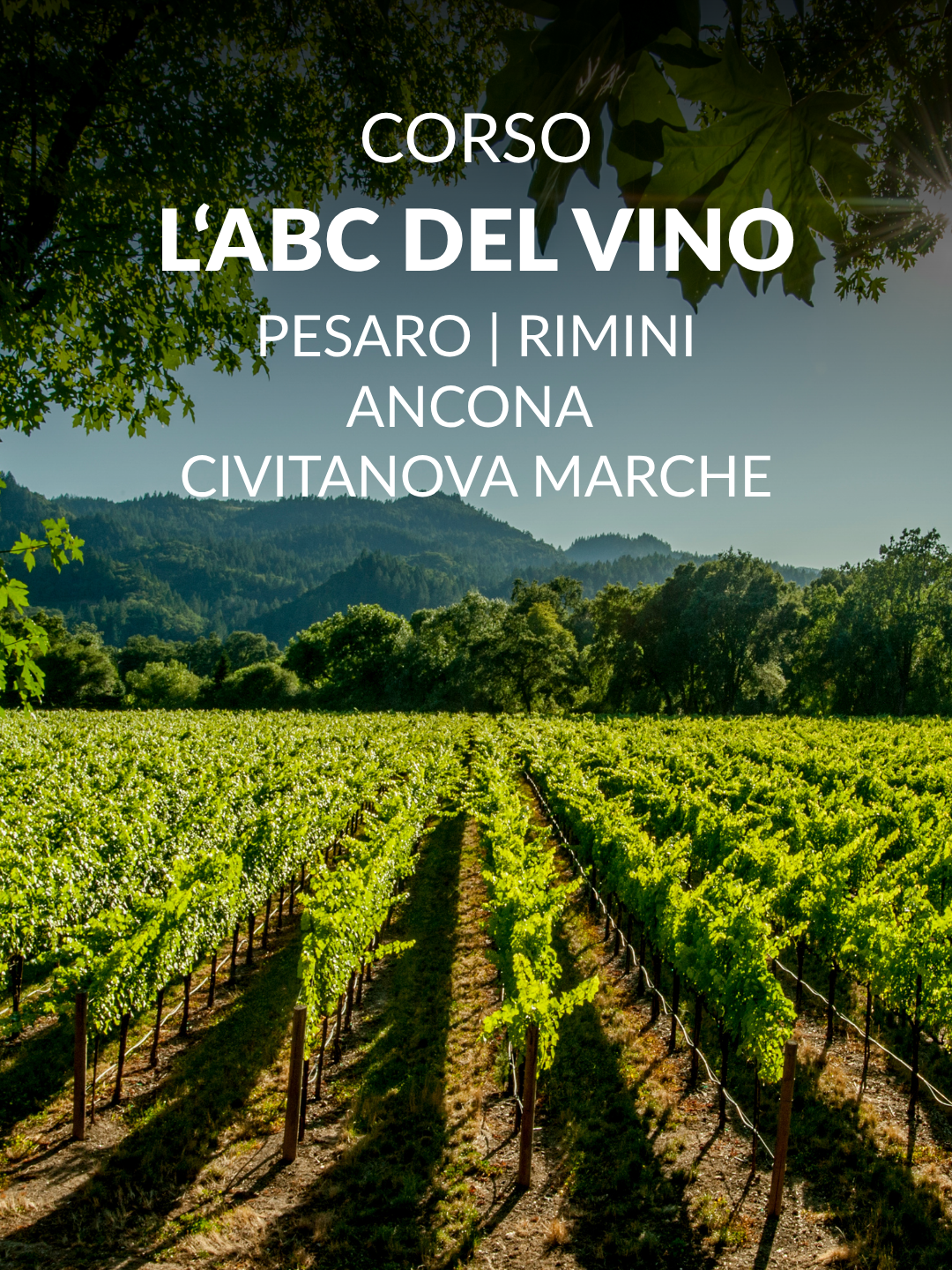 CORSO / L'ABC del VINO - 2026