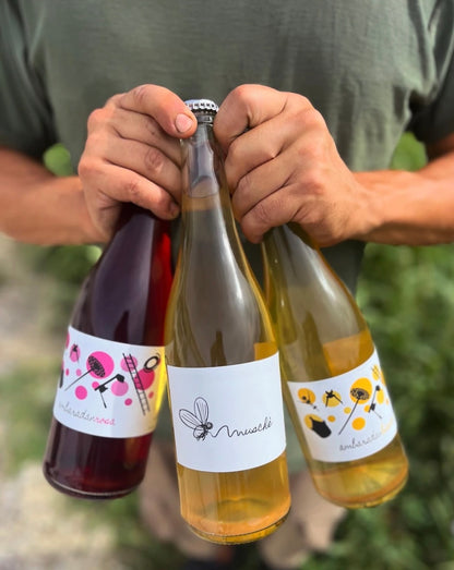 WINE TOUR — 23 Novembre, La Via del Colle, Bertinoro (FC)