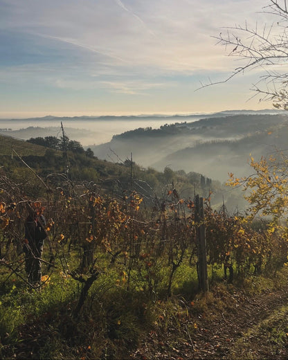WINE TOUR — 23 Novembre, La Via del Colle, Bertinoro (FC)