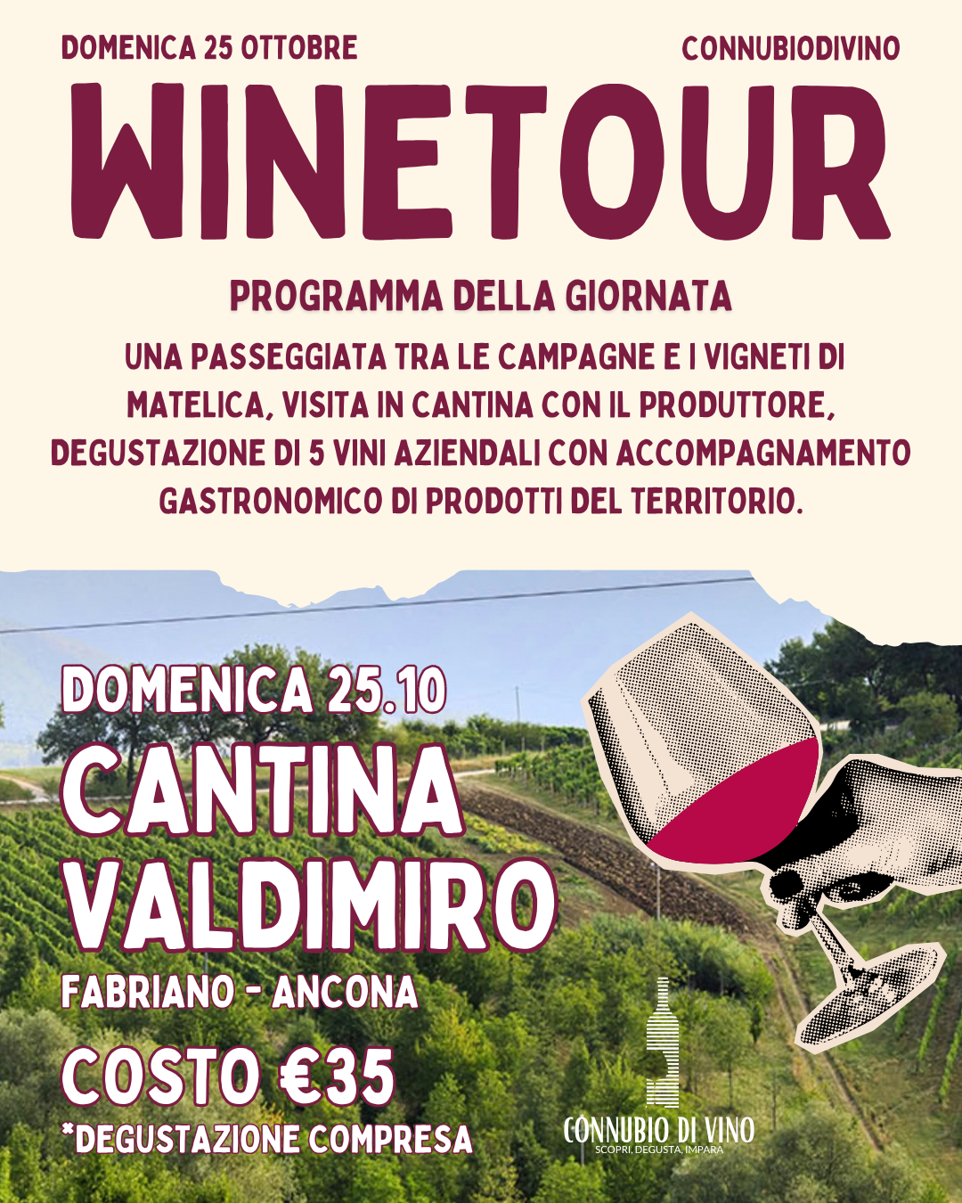 WINE TOUR - 25 OTTOBRE - CANTINA VALDIMIRO - FABRIANO - AN