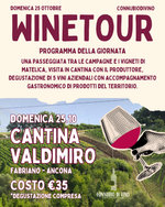 WINE TOUR - 25 OTTOBRE - CANTINA VALDIMIRO - FABRIANO - AN