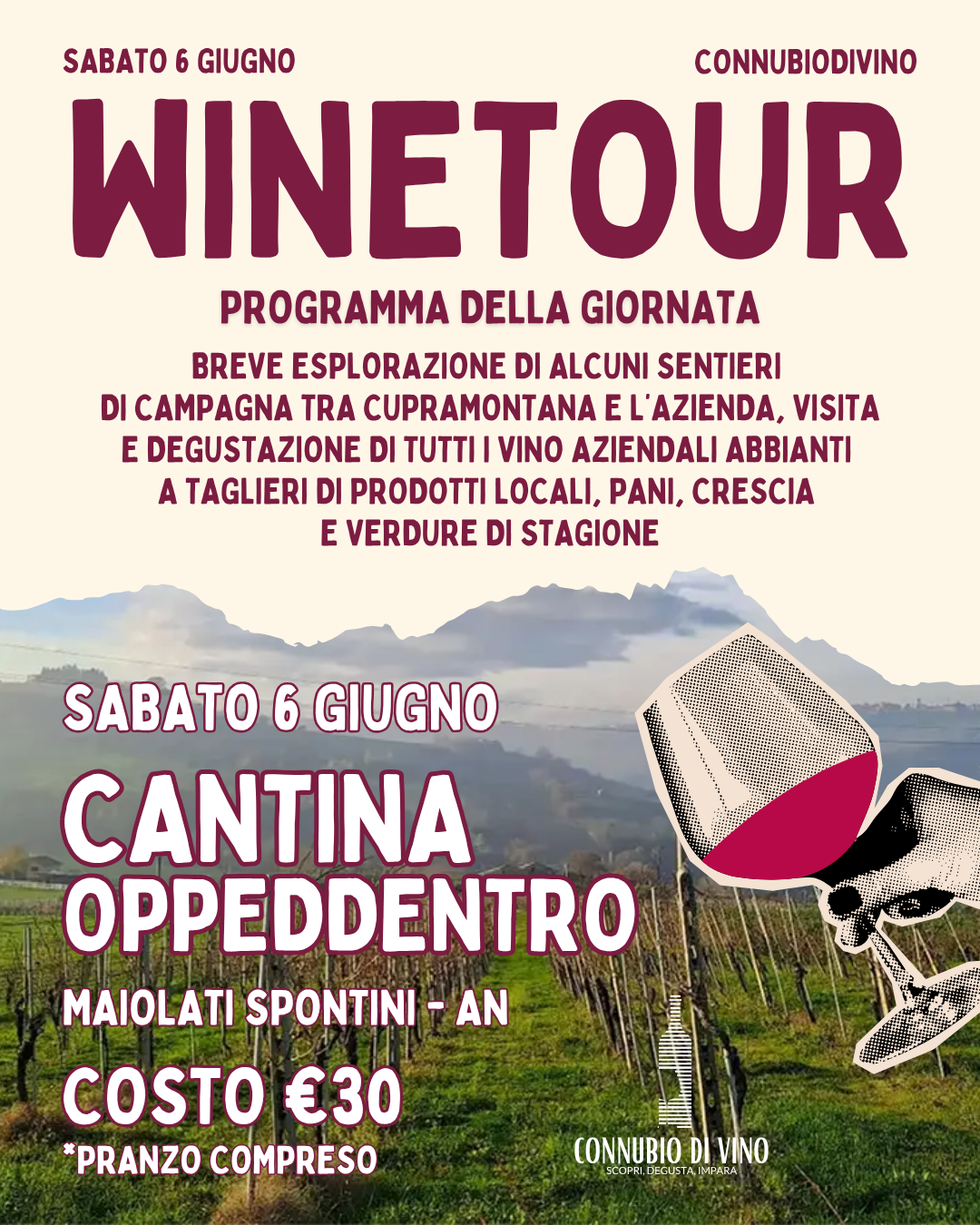 WINE TOUR - SABATO 6 GIUNGO - CANTINA OPPEDDENTRO - MAIOLATI SPONTINI - AN