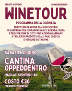 WINE TOUR - SABATO 6 GIUNGO - CANTINA OPPEDDENTRO - MAIOLATI SPONTINI - AN
