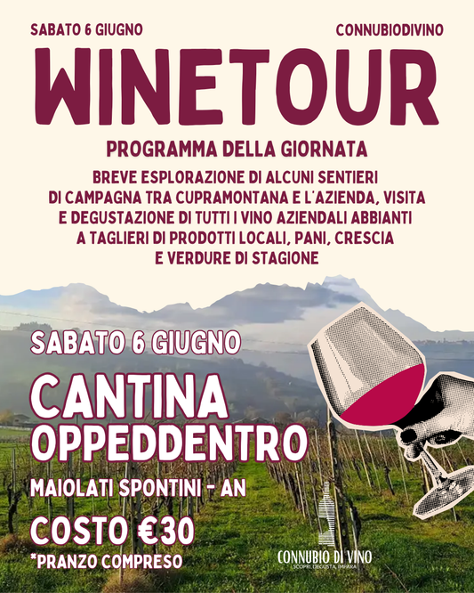 WINE TOUR - SABATO 6 GIUNGO - CANTINA OPPEDDENTRO - MAIOLATI SPONTINI - AN
