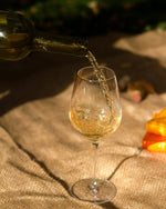 Appassionarsi al Vino — Febbraio/Marzo/Aprile