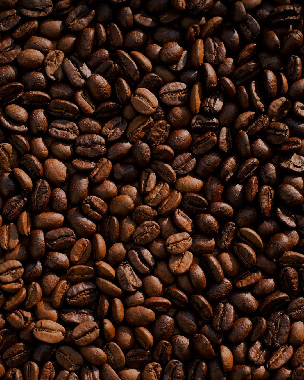 Introduzione al Caffè — Marzo